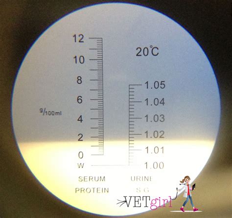 refractometer for dogs|total solids range for dogs.